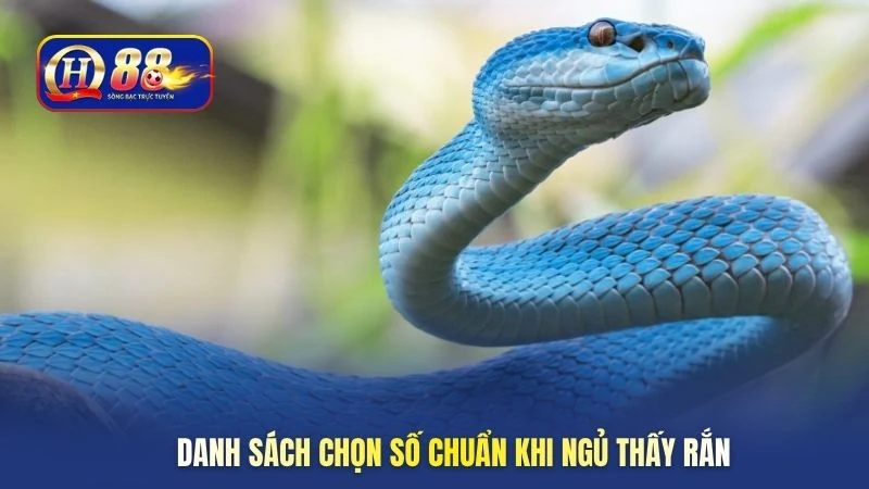 Danh sách chọn số chuẩn khi ngủ thấy rắn