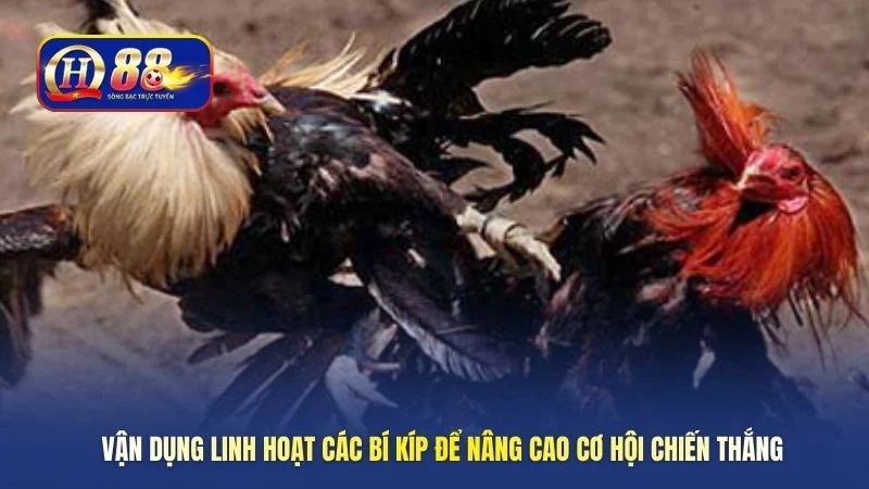 Vận dụng linh hoạt các bí kíp để nâng cao cơ hội chiến thắng